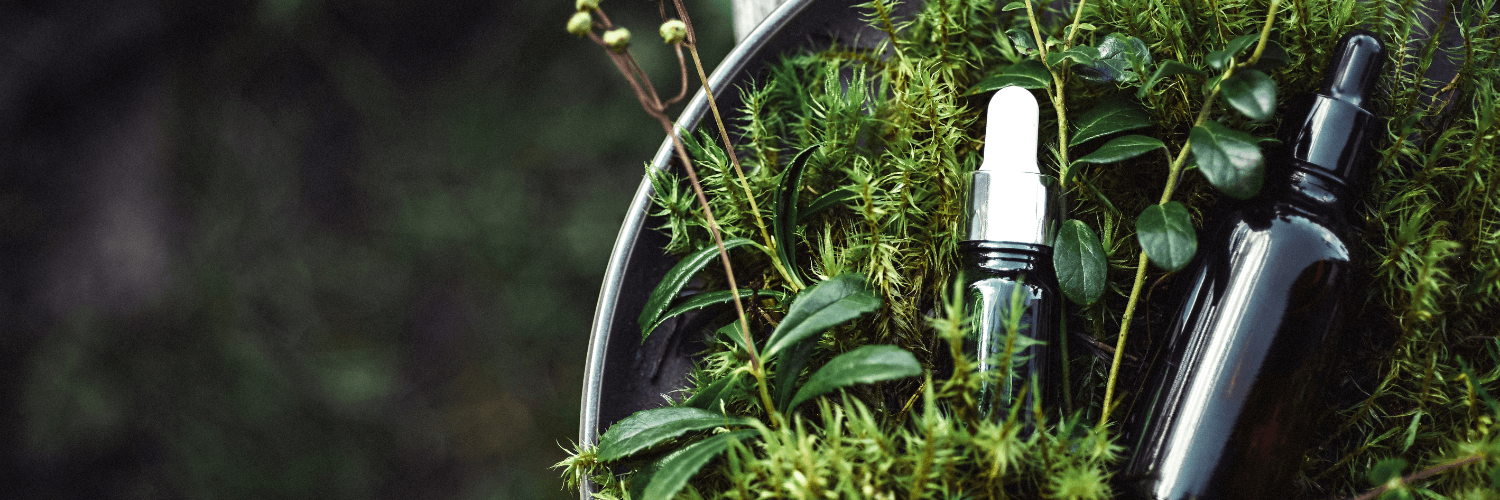 The Ultimate Guide to Using Herbs for Beautiful Skin: herbal oils on green leaves for skincare.