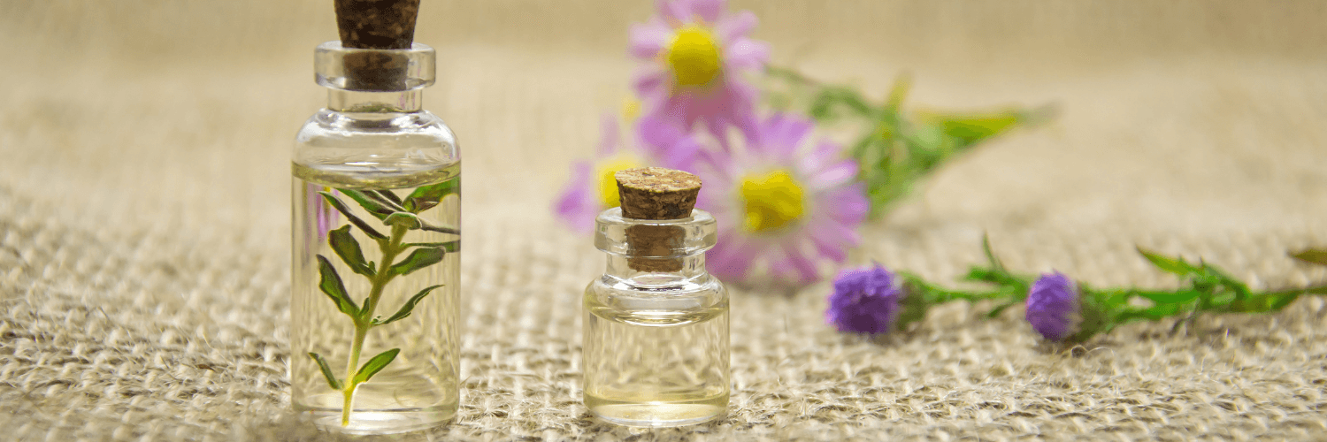 Bottles of essential oils with plants, symbolizing the debate of Fragrance Oils Vs Essential Oils.