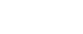 Ollie Skincare logo