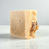 Bold Brew Coffee Soap bar showcasing its unique texture and natural ingredients for gentle cleansing and exfoliation.